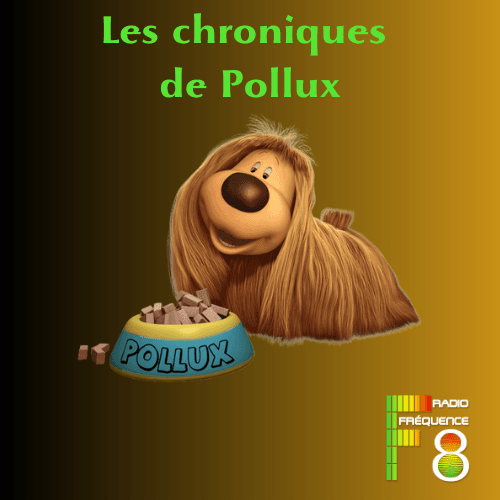 Chronique 2 les bienfaits de la musique 