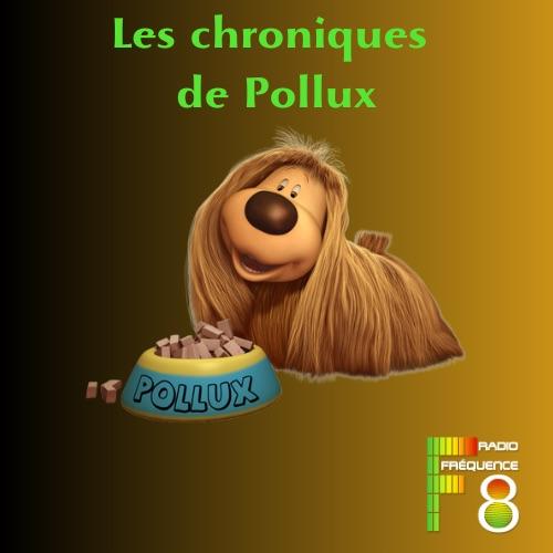 Les Chroniques de Pollux - La musique source de santé épisode 1